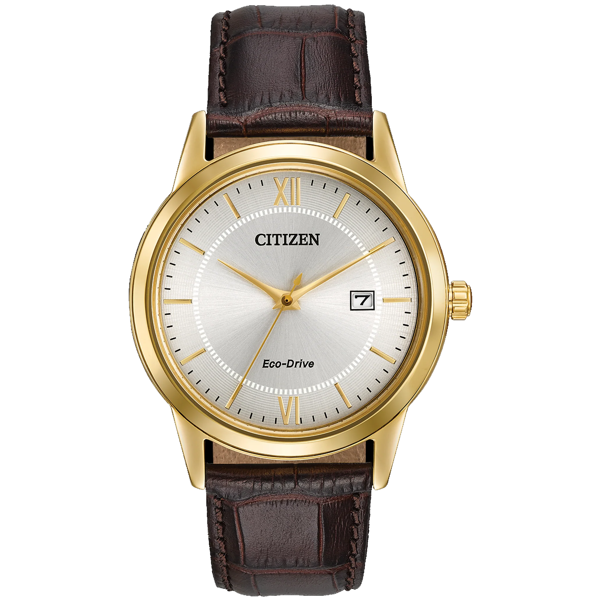 Citizen Eco-Drive - Gold with Brown Leather Strap