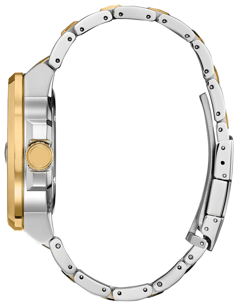 Citizen Eco-Drive - Endeavor GMT - Image 2