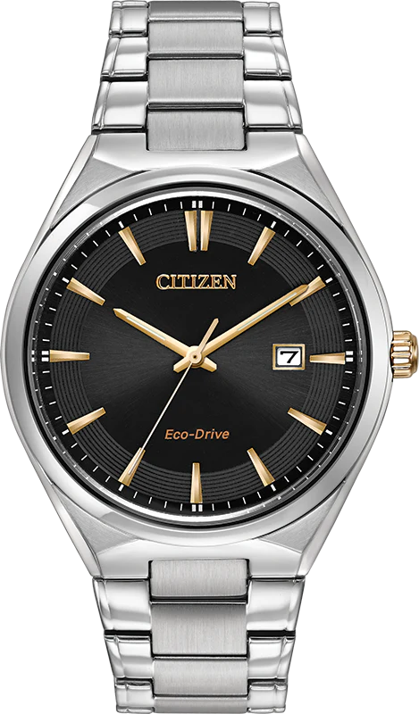 Citizen Eco-Drive - Stainless Steel with Black Dial