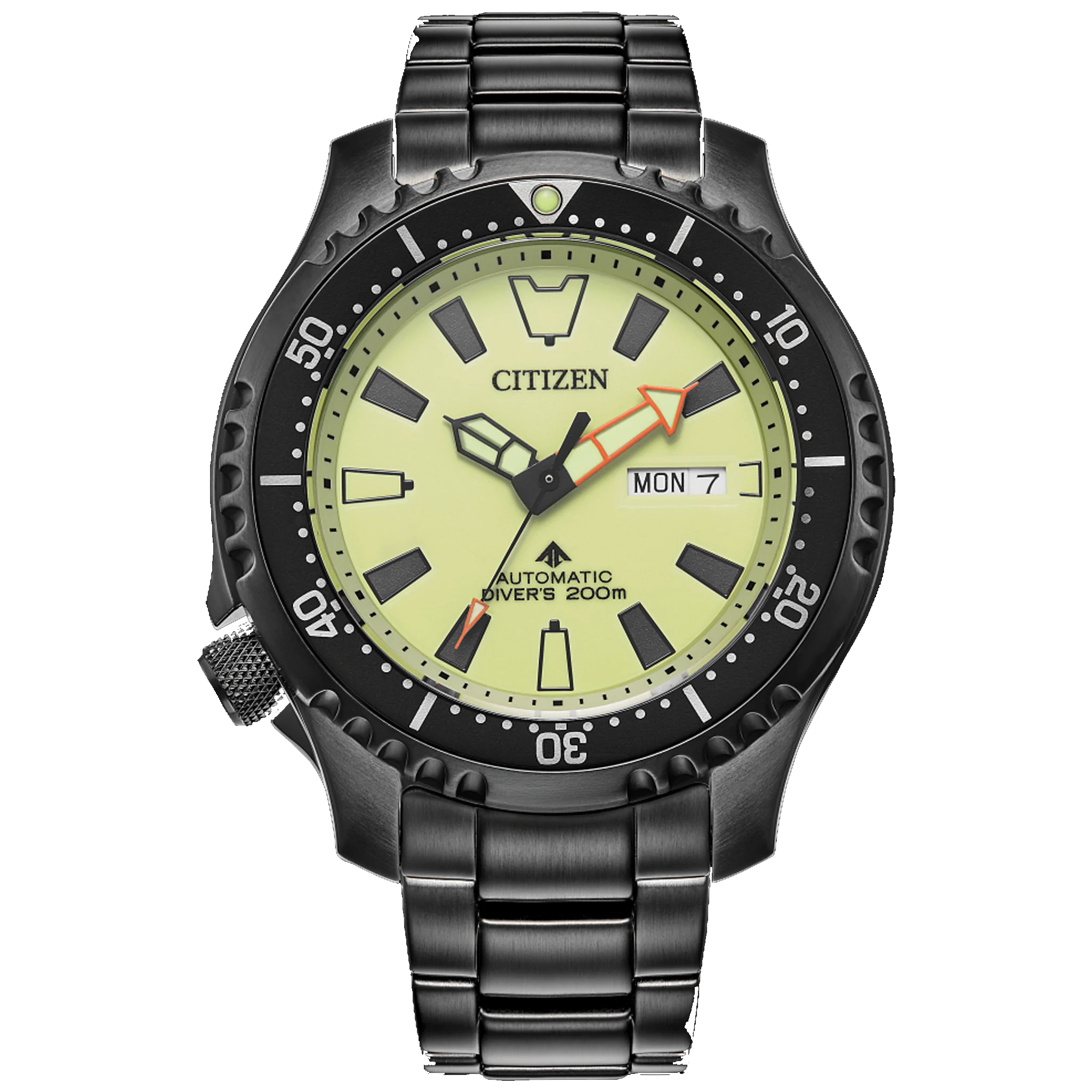 Citizen Automatic - Promaster FUGU - Black with Lume Dial