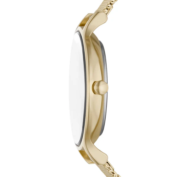 Skagen Anita Lille - Gold Tone - Image 3